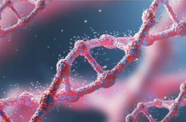 Lograron decodificar completo por primera vez un genoma humano