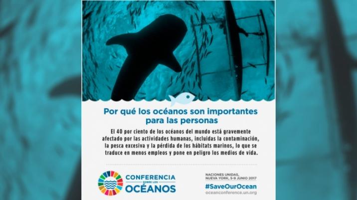Argentina reconocida por su contribución en la investigación marina