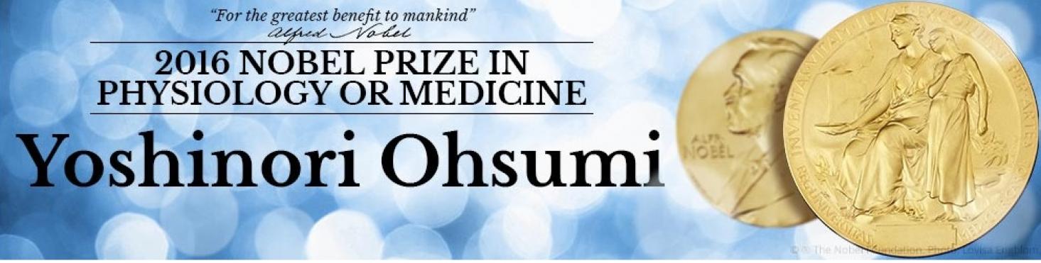 Yoshinori Oshumi recibió el Premio Nobel de Medicina y Fisiología 2016