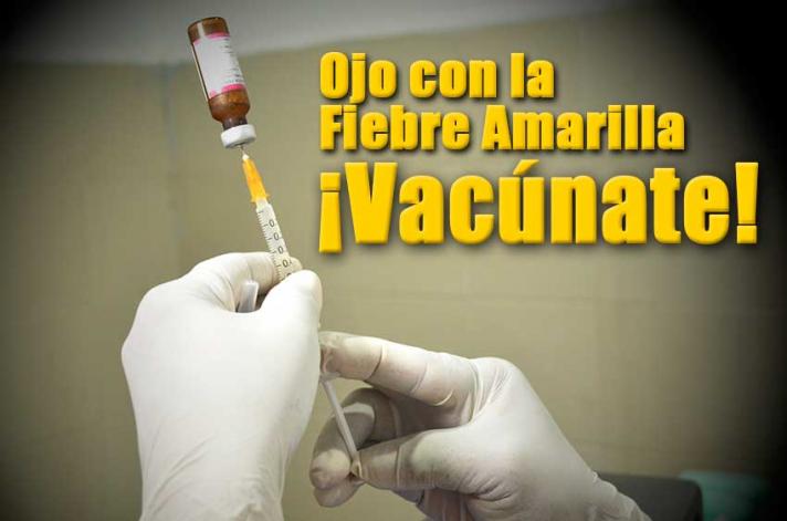 Recomendaciones sobre vacunación para fiebre amarilla 