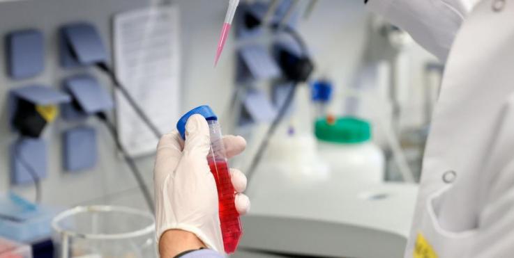 Oxford ya produce vacunas para venderlas en diciembre una vez testadas